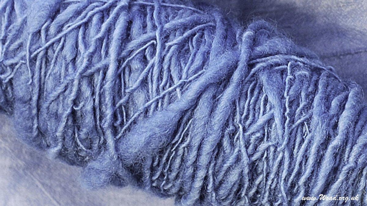 All About Woad > Buy woad