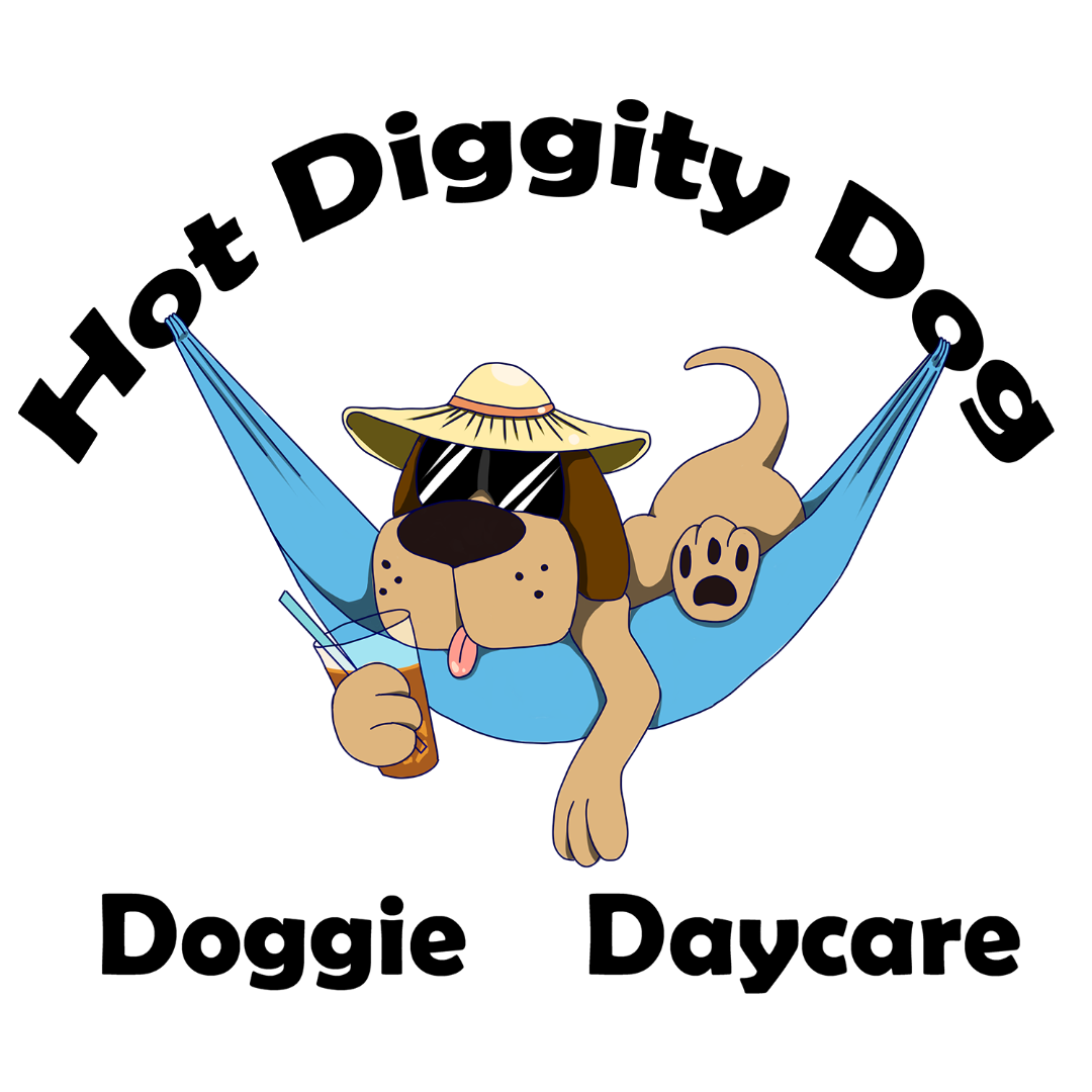 diggiddy doggy daycare